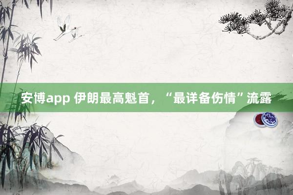 安博app 伊朗最高魁首，“最详备伤情”流露