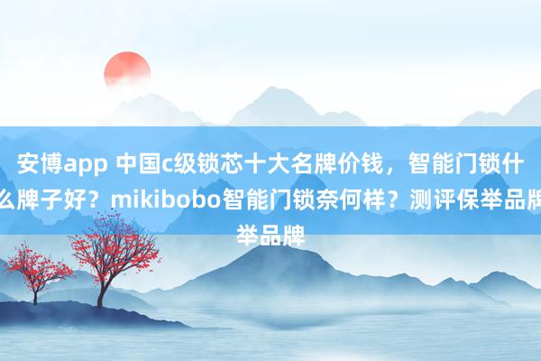 安博app 中国c级锁芯十大名牌价钱，智能门锁什么牌子好？mikibobo智能门锁奈何样？测评保举品牌