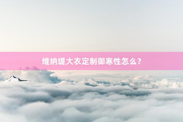 维纳缇大衣定制御寒性怎么？