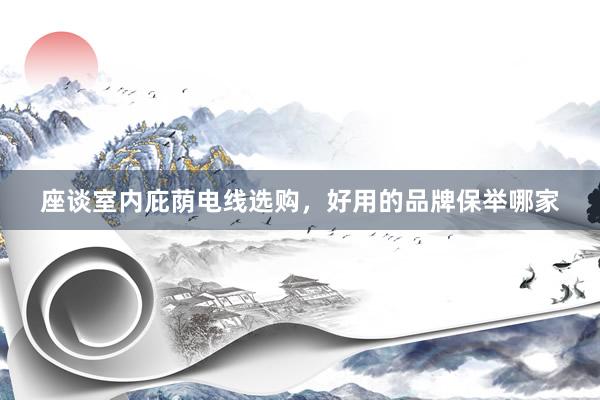 座谈室内庇荫电线选购，好用的品牌保举哪家
