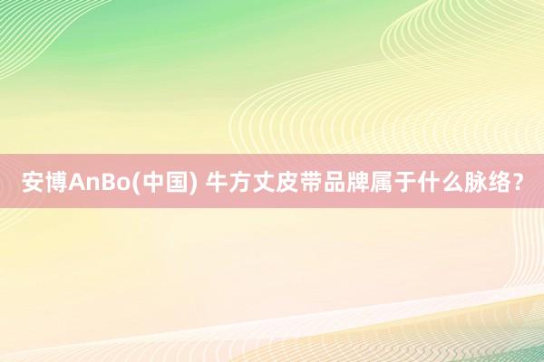 安博AnBo(中国) 牛方丈皮带品牌属于什么脉络？