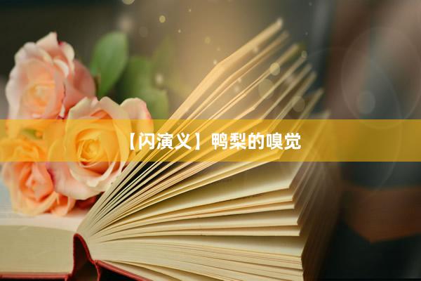 【闪演义】鸭梨的嗅觉