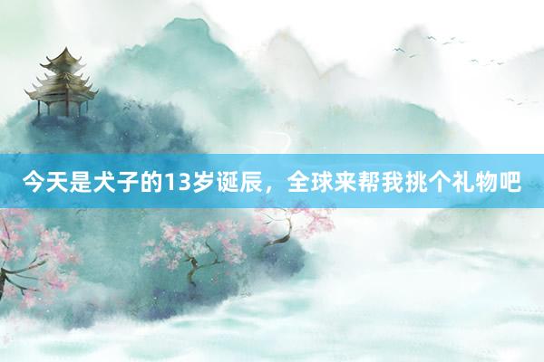 今天是犬子的13岁诞辰，全球来帮我挑个礼物吧