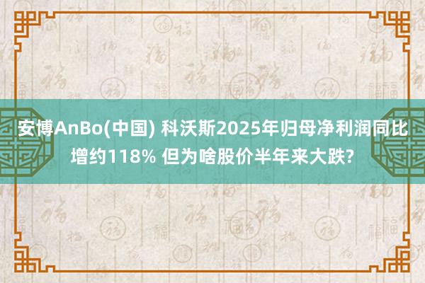 安博AnBo(中国) 科沃斯2025年归母净利润同比增约118% 但为啥股价半年来大跌?